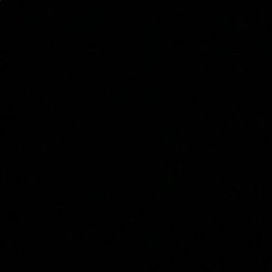 Meet your Posher, Claudia